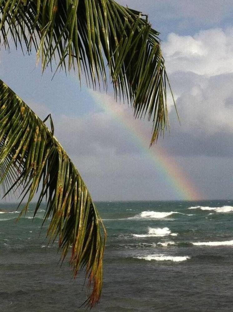 Rainbow Beach Apartments & Rooms Calibishie Exteriör bild
